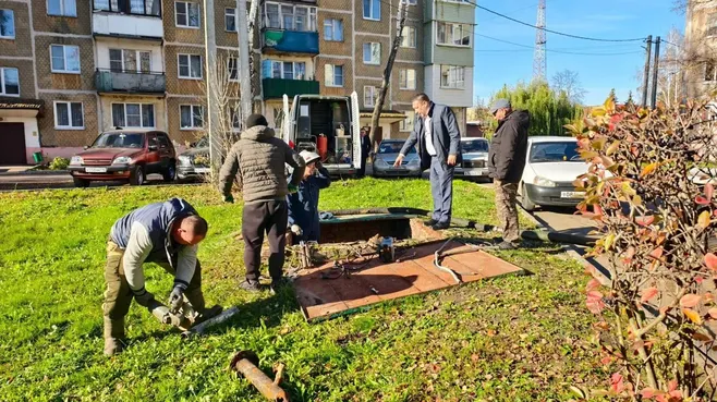 Картинка
