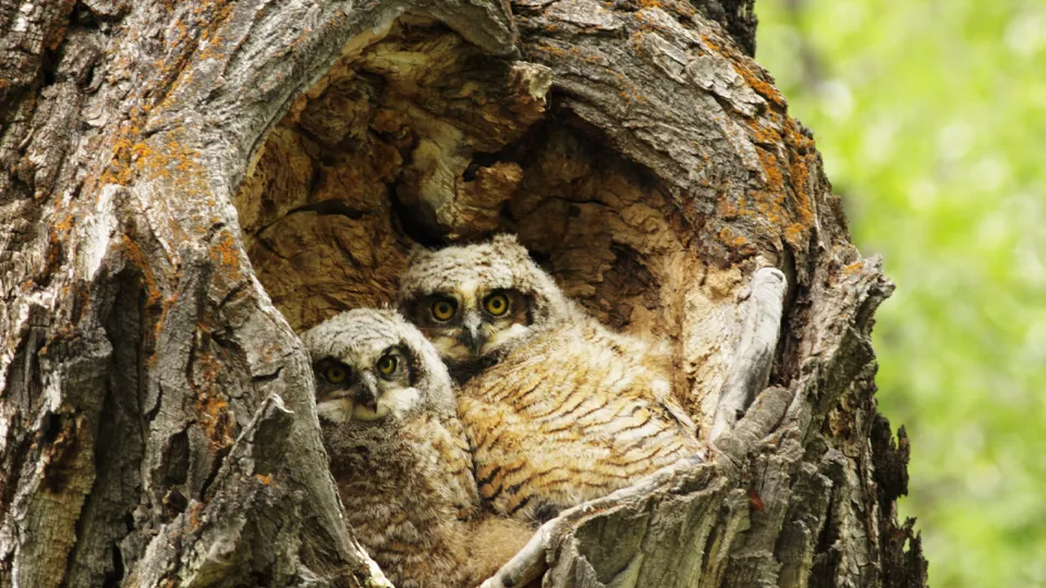 Фото: istockphoto.com