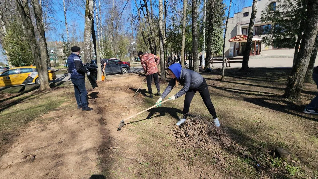 Картинка