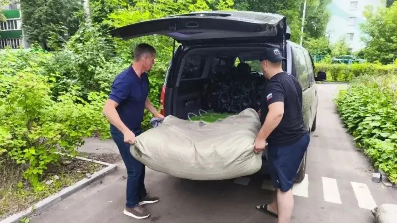 Картинка