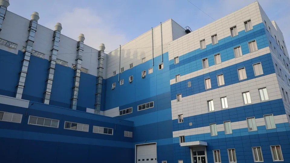 Фото: пресс-служба администрации г.о. Балашиха