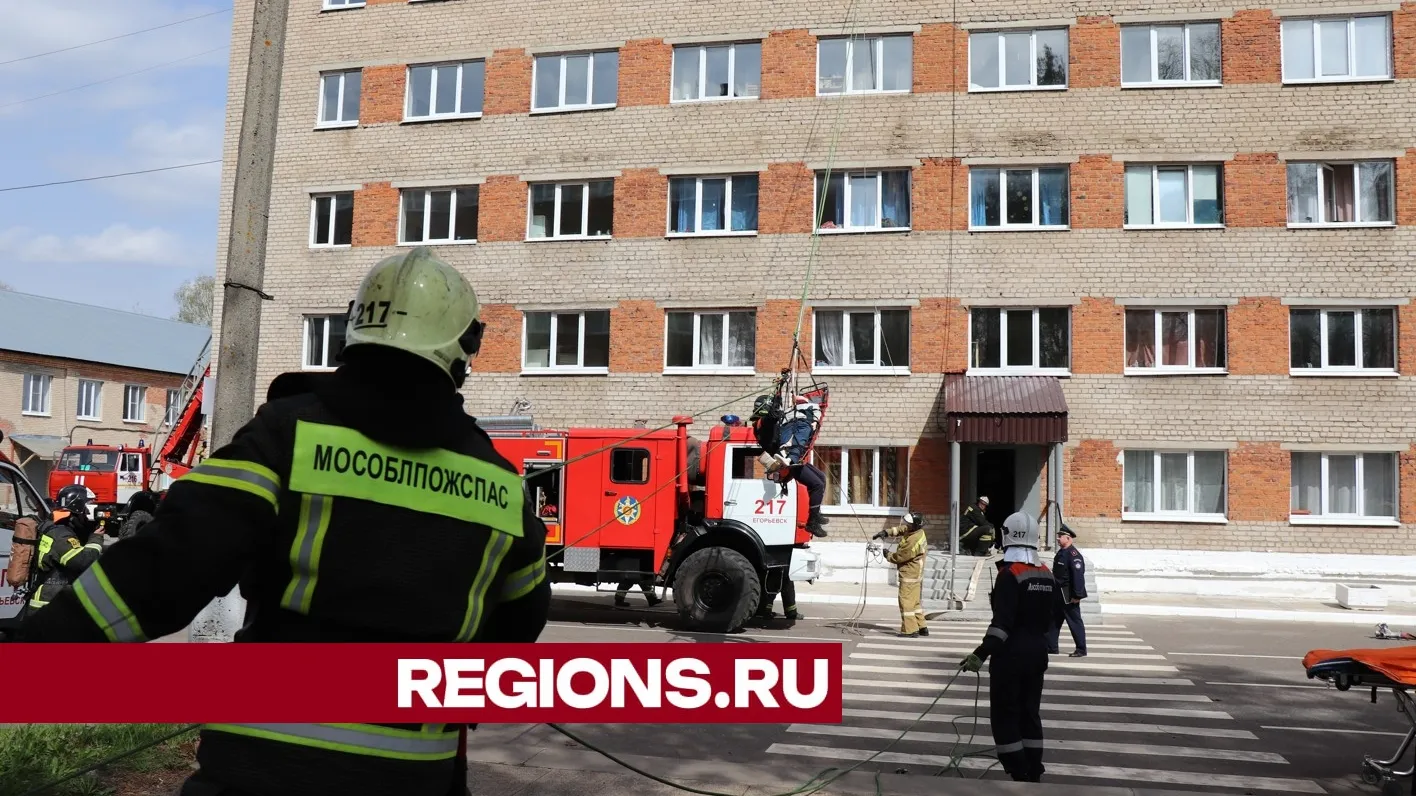 Фото: Василий Тремасов