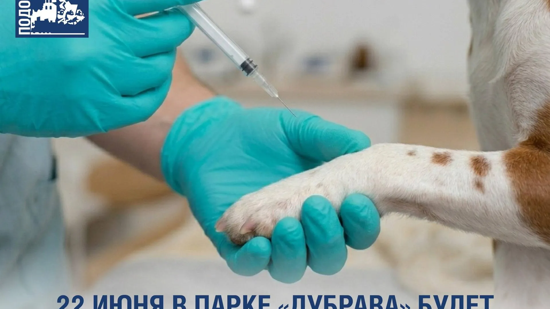 В Подольске 22 июня пройдет выездная вакцинация животных в парке «Дубрава»