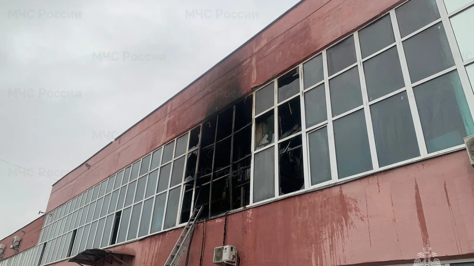 Фото: ГУ МЧС России по Московской области