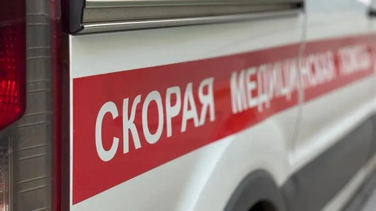 Картинка