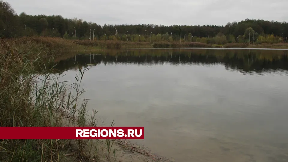 Фото: REGIONS/Василий Тремасов