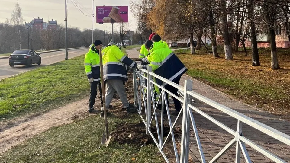 Фото: пресс-служба администрации г.о. Чехов