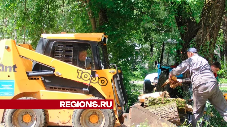 Фото: REGIONS/Василий Тремасов