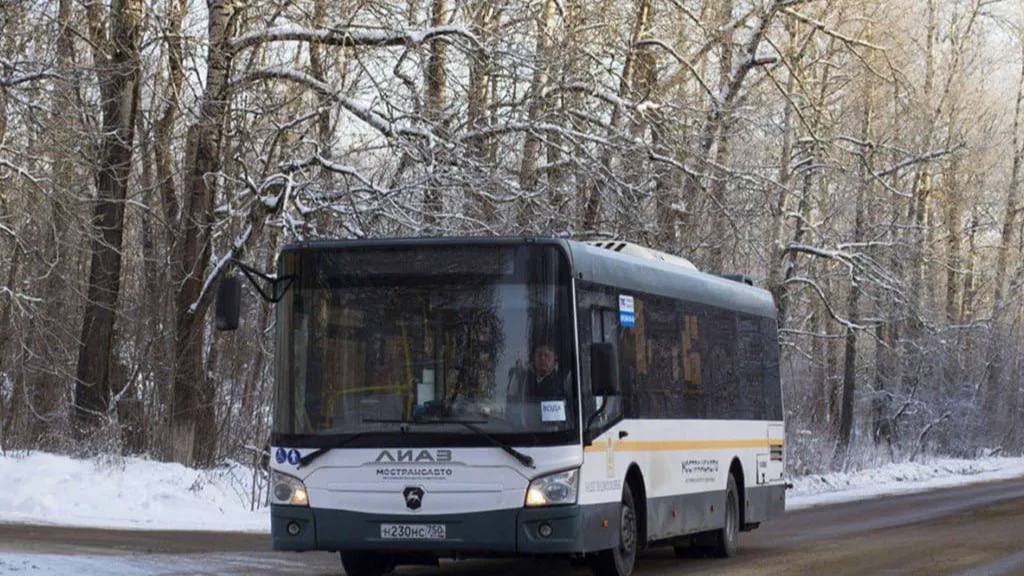 Фото: пресс-служба администрации г.о. Подольск