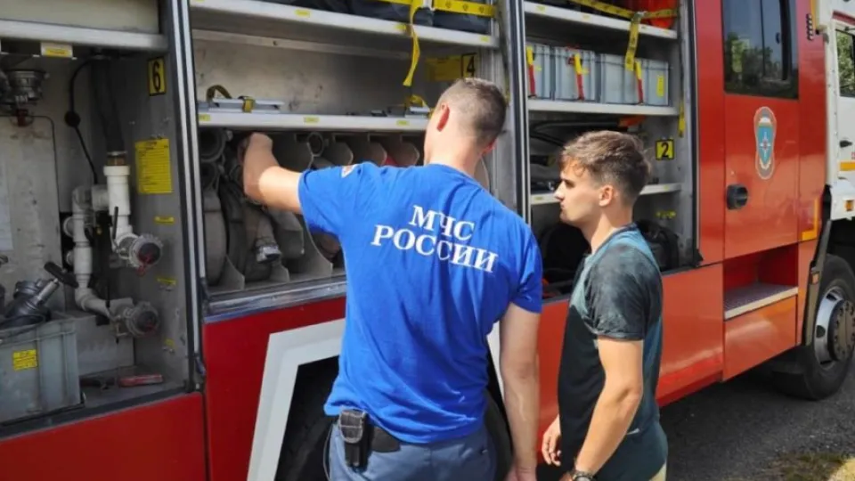Фото: Комитет лесного хозяйства Московской области