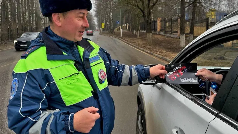 Фото: Госавтоинспекция городского округа Красногорск