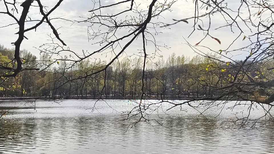 Фото: Из личного архива Дмитрия Кравцова