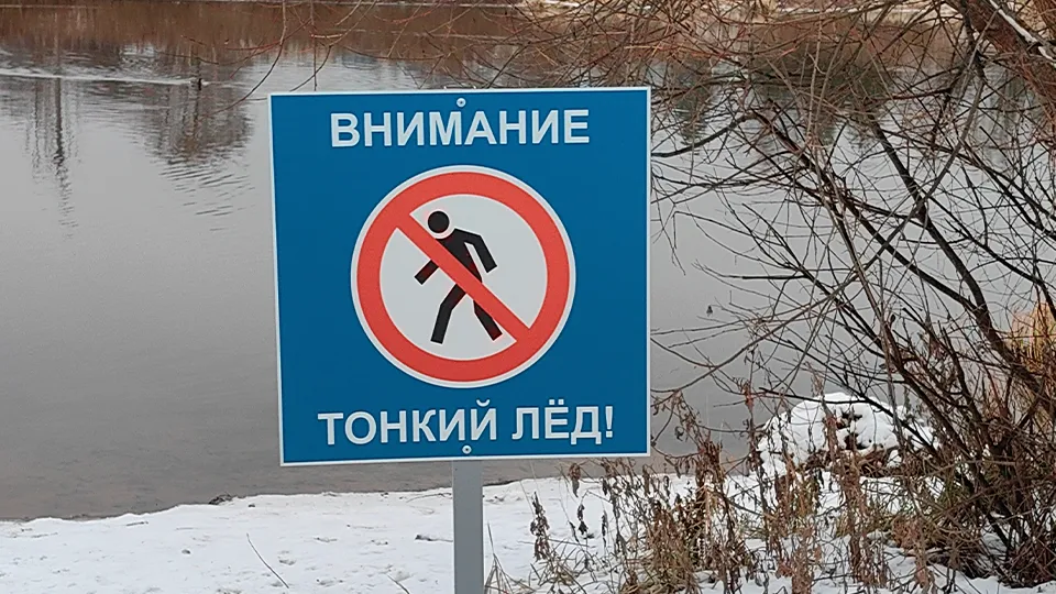 Фото: МедиаБанк Подмосковья/Елена Катасонова