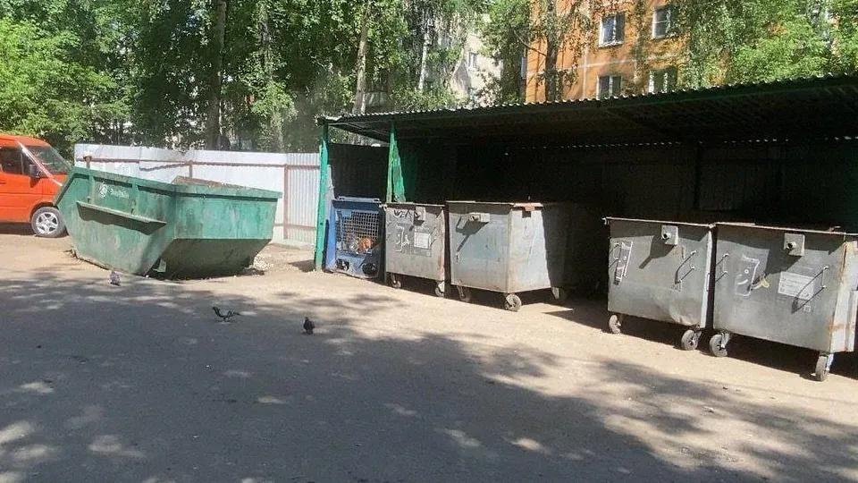Фото: Администрации городского округа Люберцы