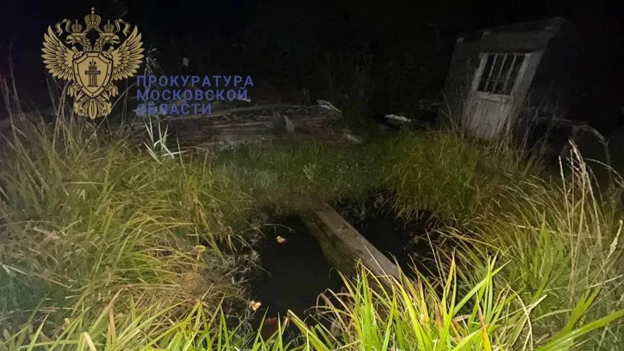 Московская Область Город Пушкино Проститутки Московская Область Город Пушкино Проститутки