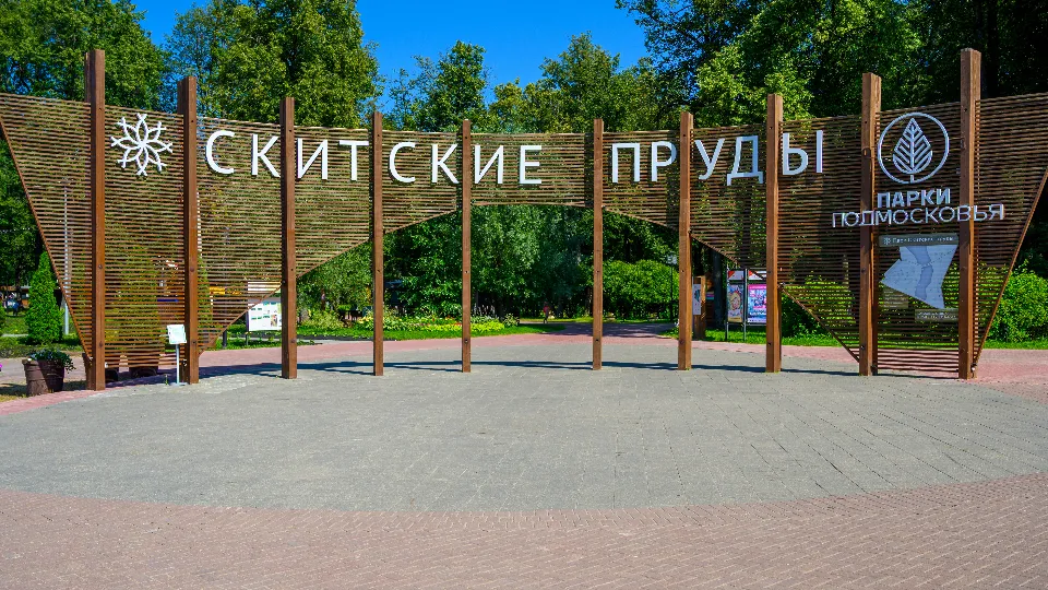 Фото: медиасток.рф