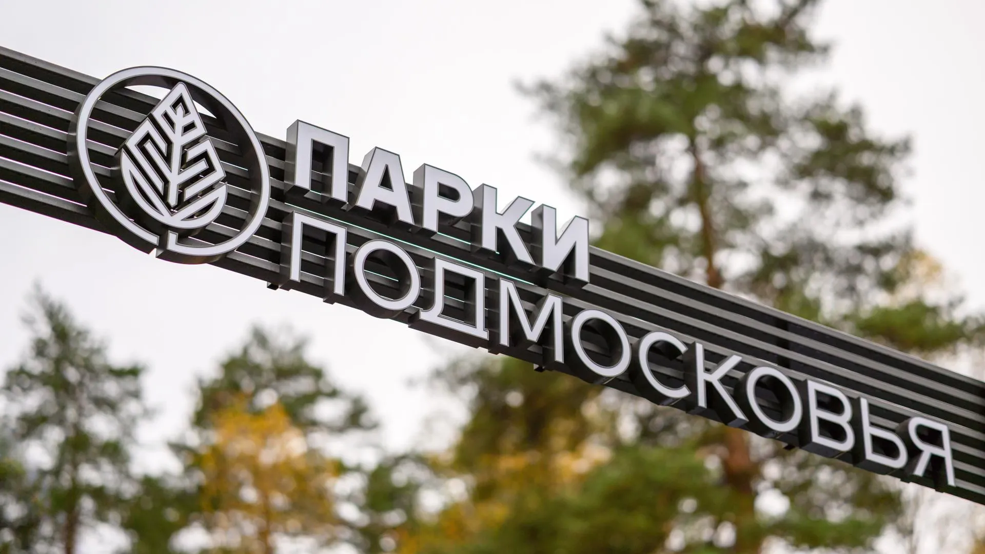 В Одинцовском объявили конкурс на благоустройство парка