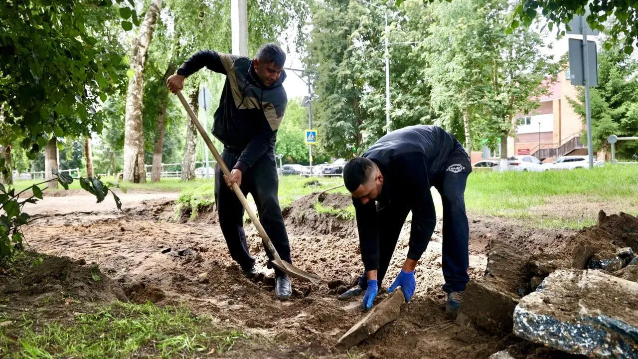 Картинка
