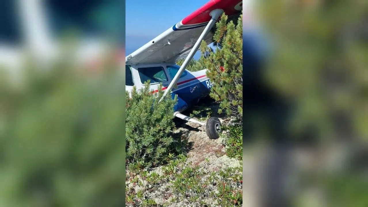 #кобзевнасвязи