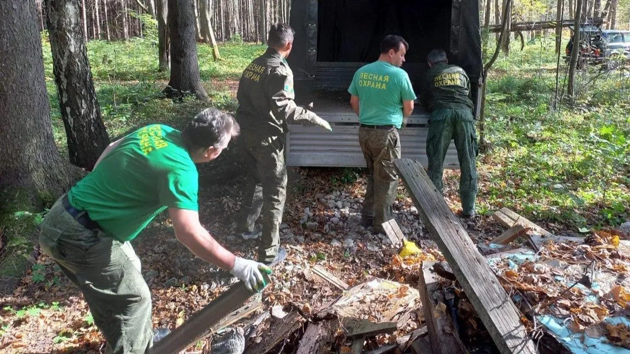 В Московской области стартует экологическая акция «Чистый лес» в 2026 году