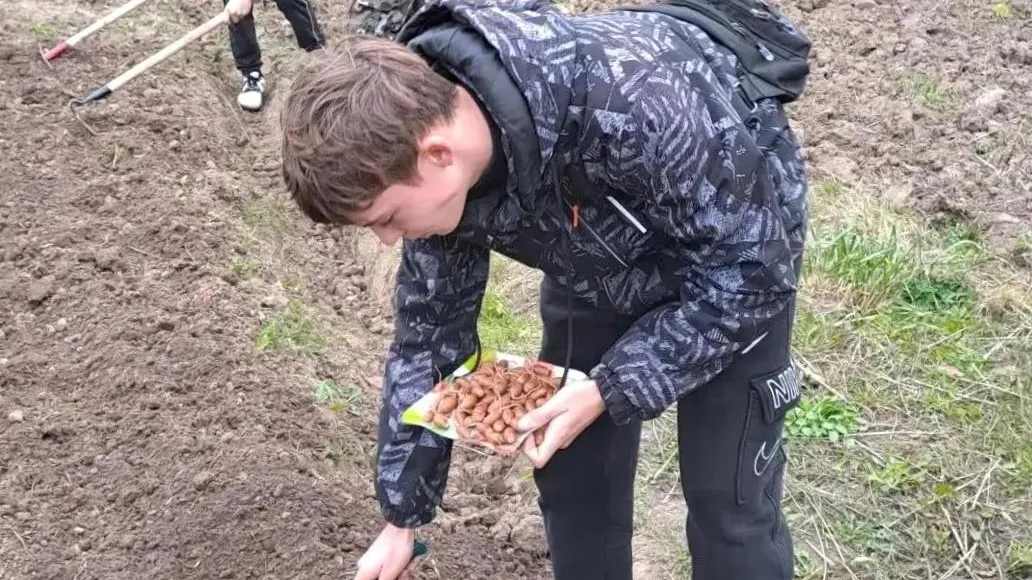 Картинка