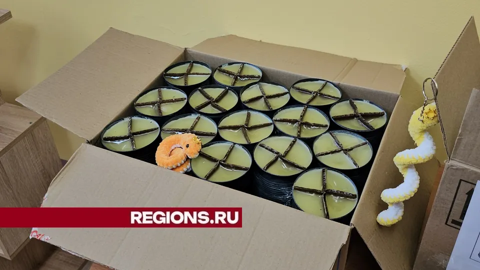 Фото: REGIONS/Александр Дрожжин