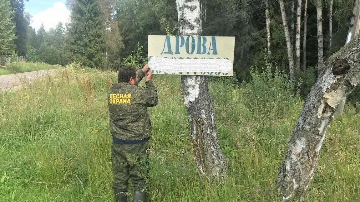 Фото: Комитет лесного хозяйства МО