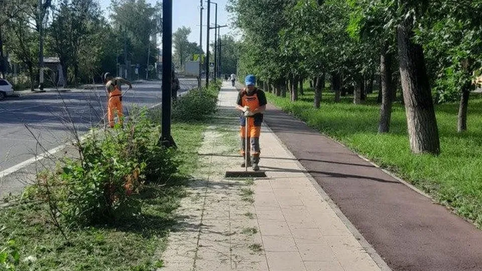 Фото: пресс-служба администрации г.о. Долгопрудный