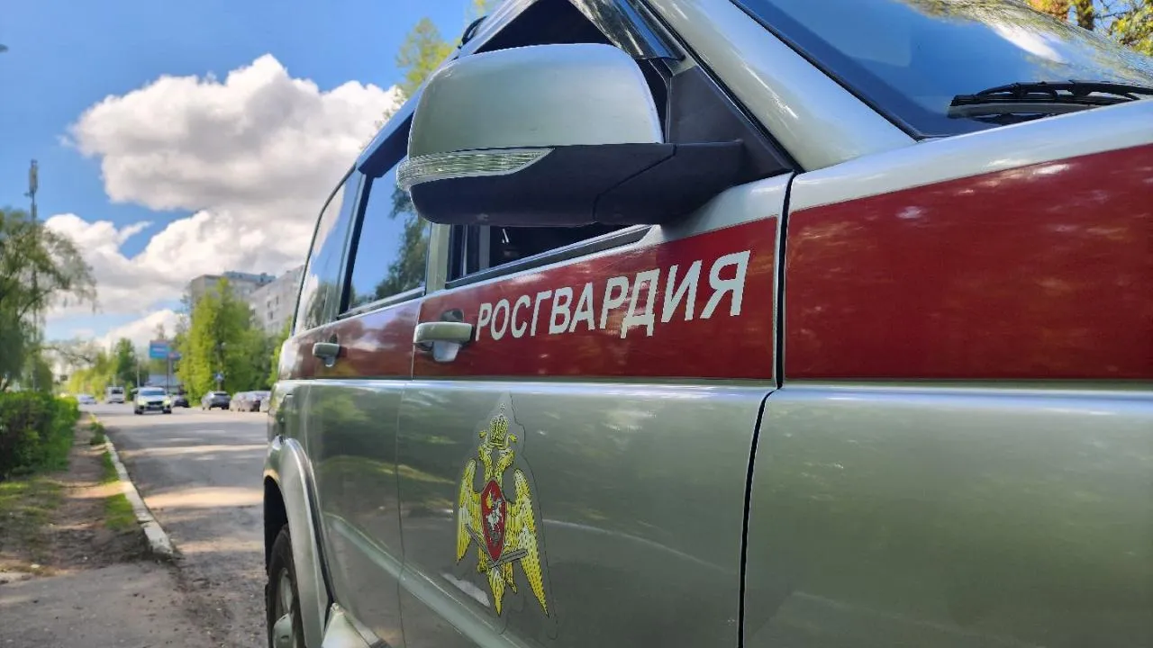 Картинка