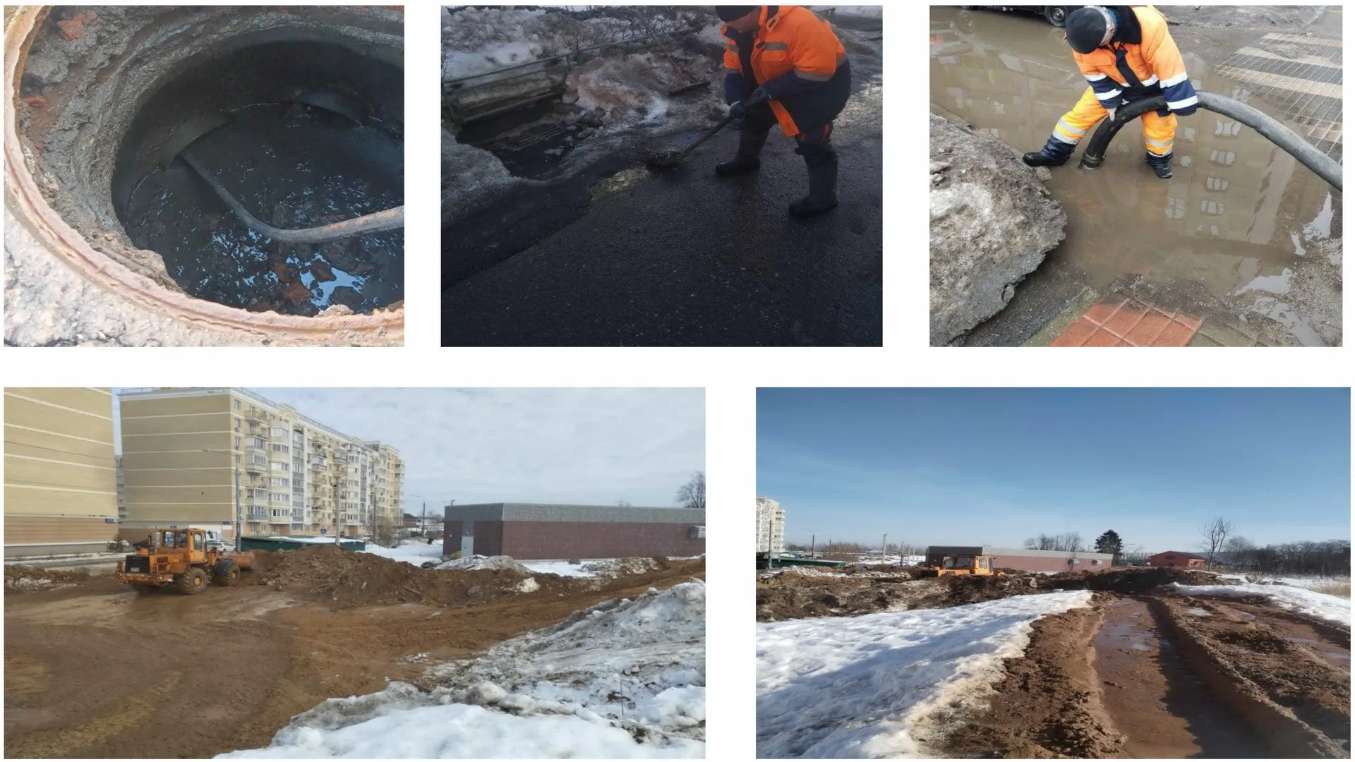 Источник: пресс-служба губернатора и правительства Московской области