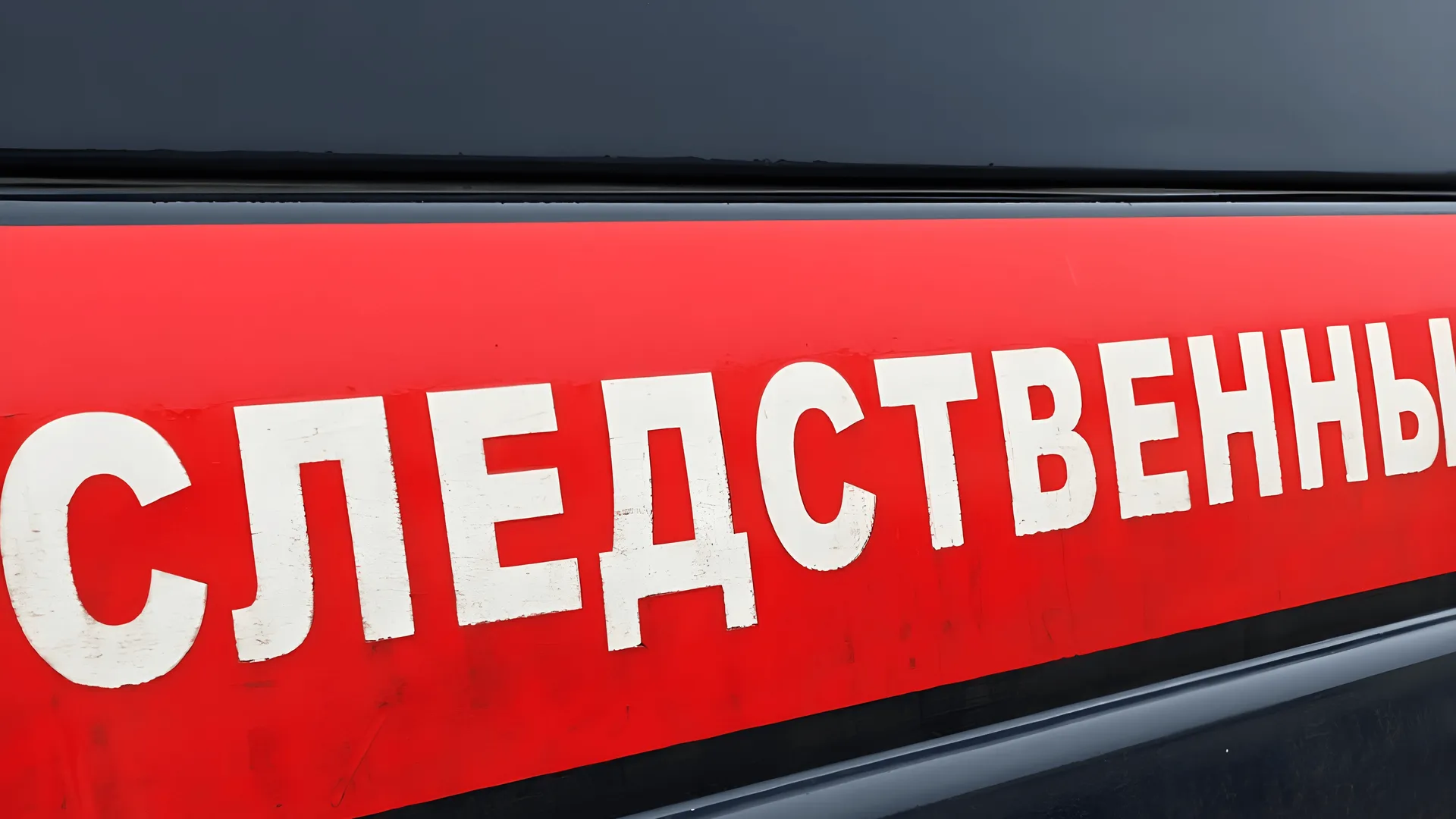 Фото: УМВД России по МО