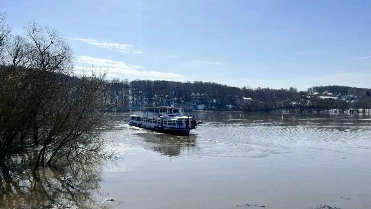 Картинка