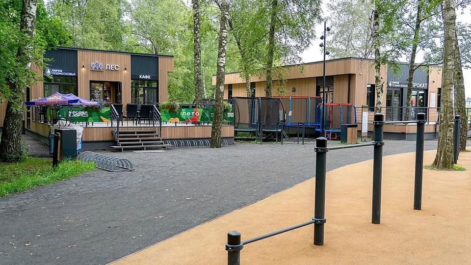 Дубровицкий лес. Фото: пресс-служба администрации г.о. Подольск