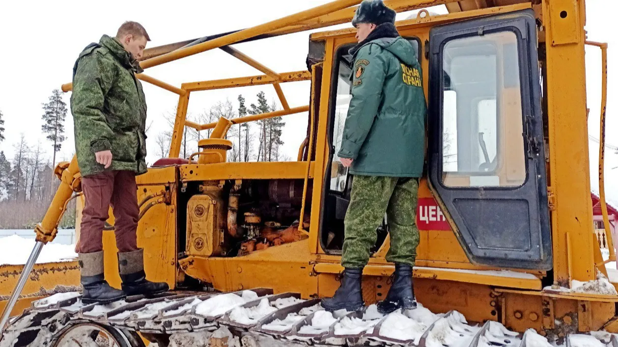Фото: Комитет лесного хозяйства МО