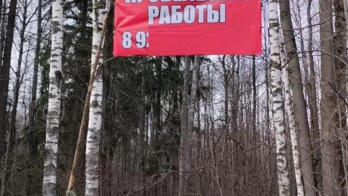 Фото: Комитет лесного хозяйства Московской области