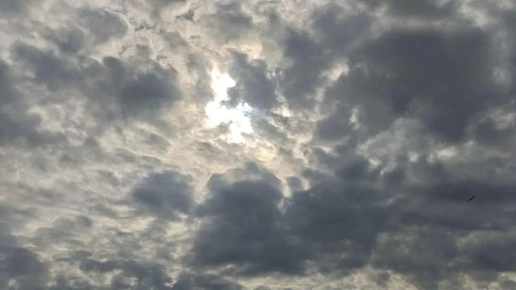 Астрофизики рассказали о последствиях новой солнечной активности