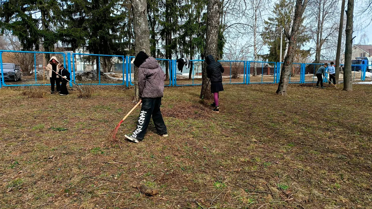 Картинка