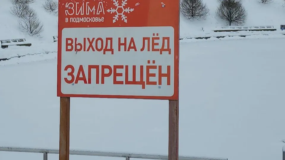 Фото: МедиаБанк Подмосковья/Мария Амелина