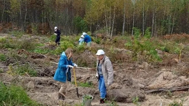 Фото: Комитет лесного хозяйства Московской области