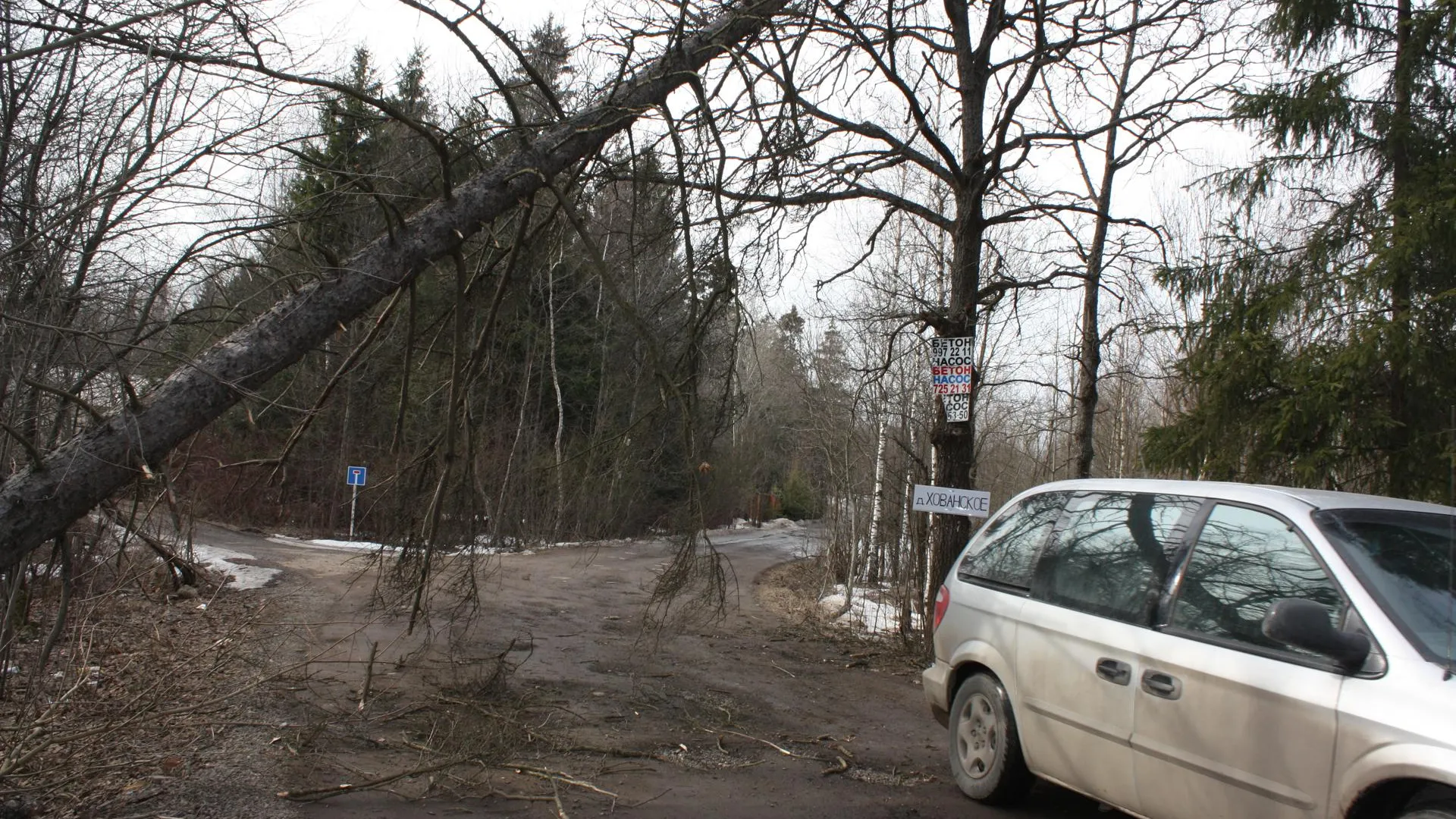 В Рязани за сутки рухнуло 26 деревьев из-за снегопада