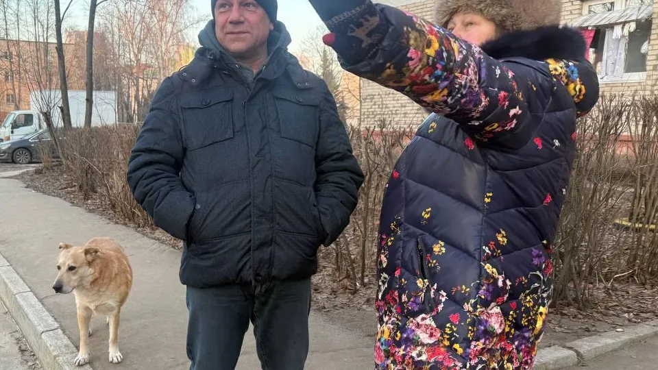 Фото: администрация городского округа Лосино-Петровский