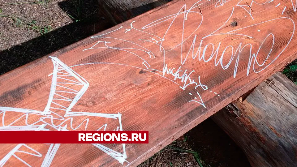 Фото: REGIONS/Василий Тремасов