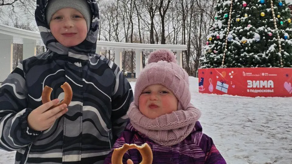 Фото: пресс-служба администрации г. о. Подольск