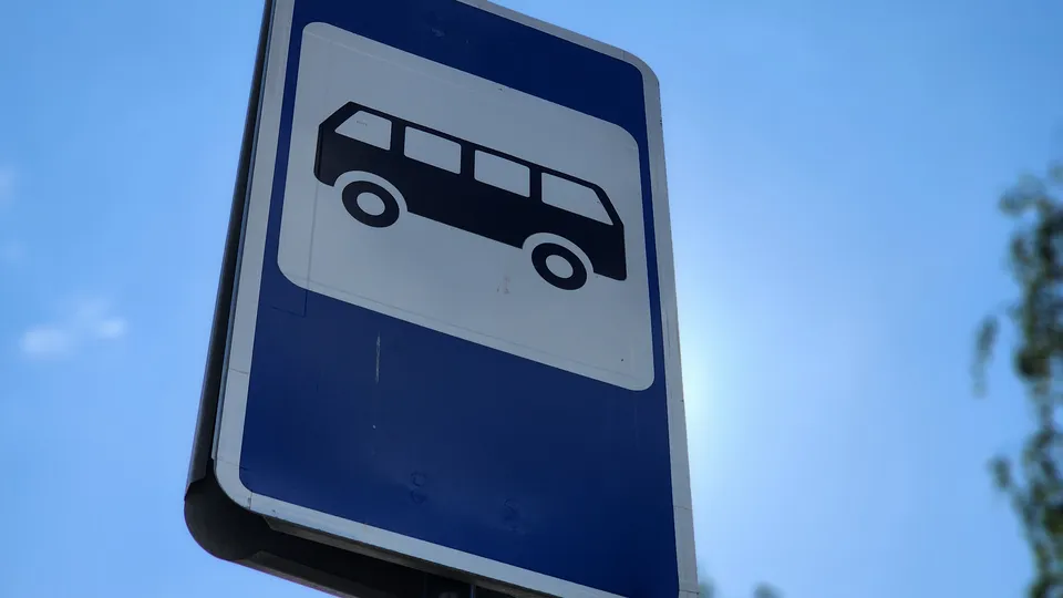 Фото: МедиаБанк Подмосковья/Светлана Плотникова