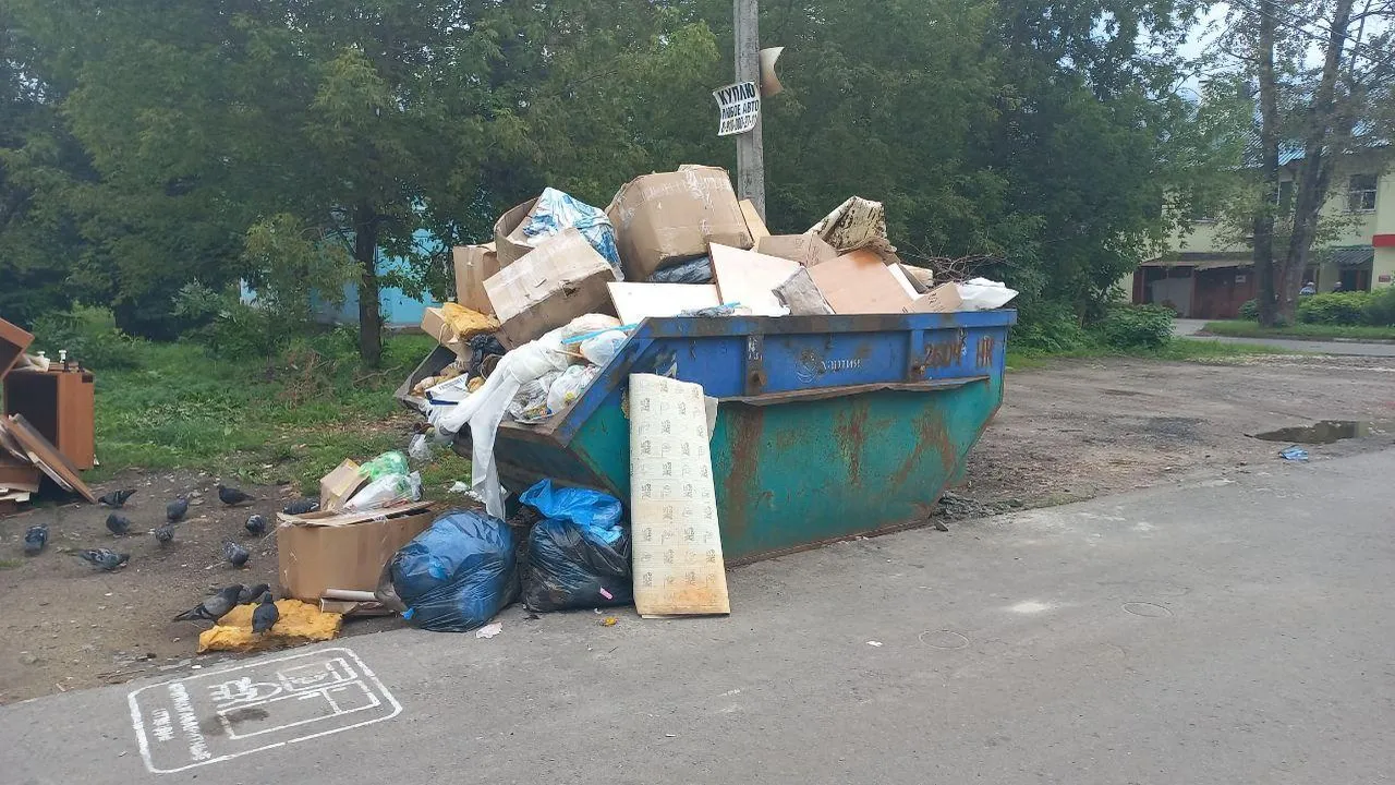 Картинка