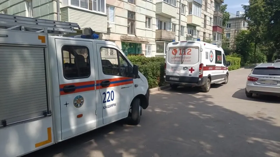Фото: ГКУ МО «Мособлпожспас»