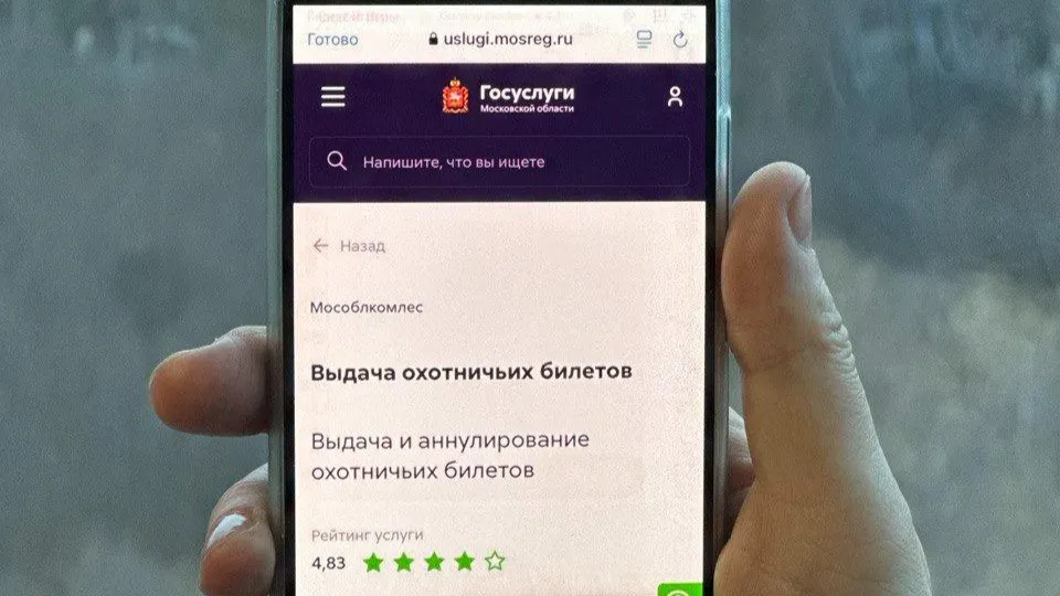 Фото: Комитет лесного хозяйства Московской области