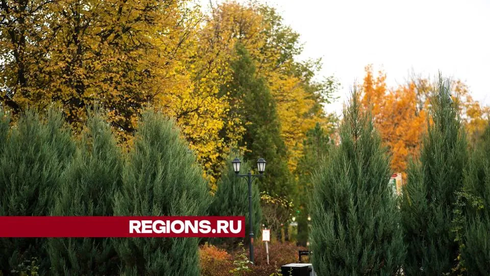 Фото: REGIONS/Ольга Пятикрестовская