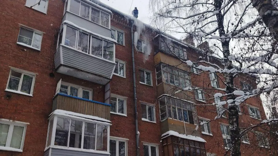 Фото: пресс-служба администрации г.о. Химки