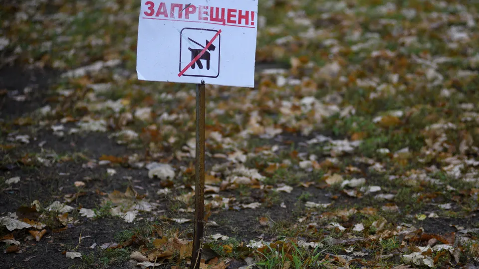Фото: медиасток.рф